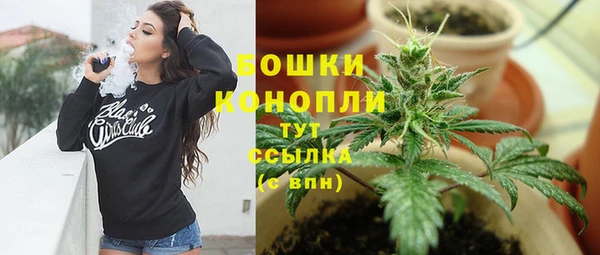 мдпв Усинск