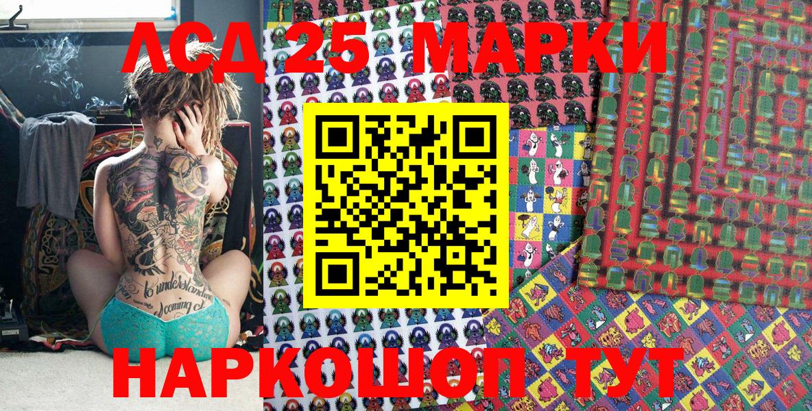 МЕФ Калининград