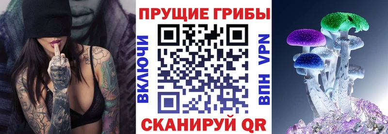 Псилоцибиновые грибы Psilocybe  Калининград 