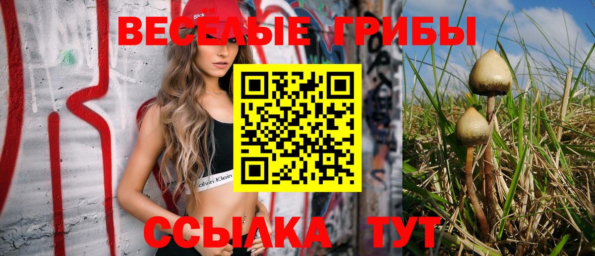 Калининград  купить наркотик  Вход с VPN  Галлюциногенные грибы прущие грибы 