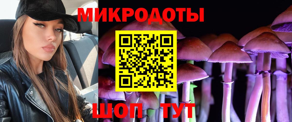 Псилоцибиновые грибы MAGIC MUSHROOMS Калининград