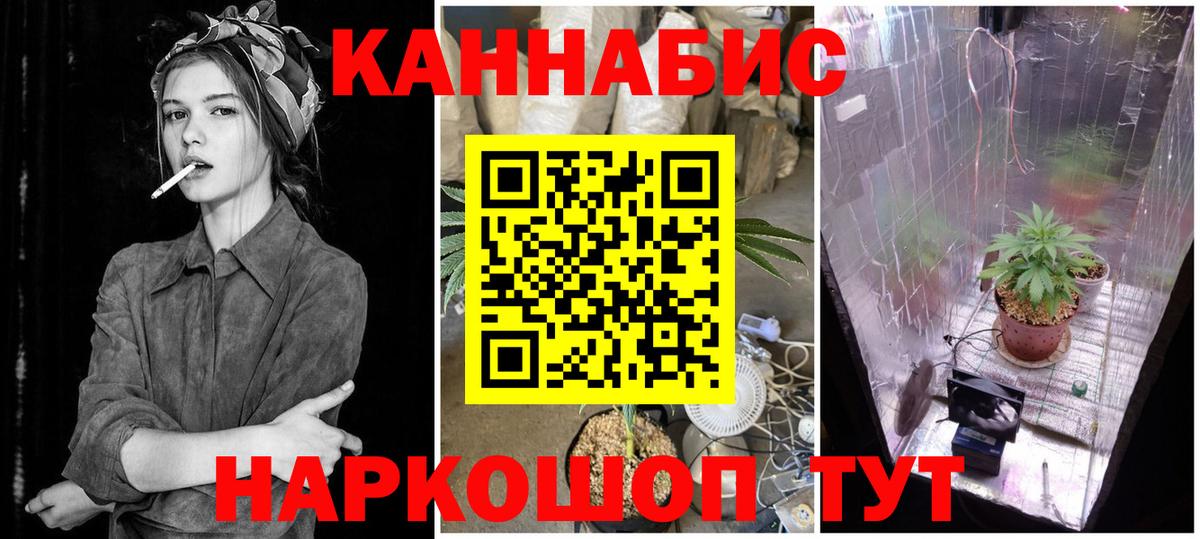 Бошки марихуана сатива Калининград